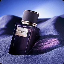 ادکلن DOLCE & GABBANA